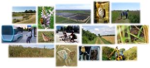 Cover photos from the Climate Change and Environment Strategy 